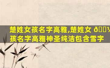 楚姓女孩名字高雅,楚姓女 🌼 孩名字高雅神圣纯洁包含雪字
